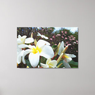 Plumeria Canvas Imprimir 1