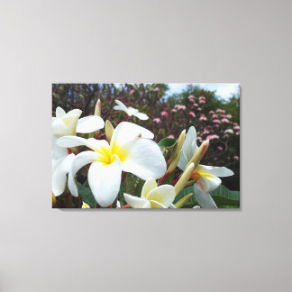 Plumeria Canvas Imprimir 1