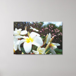 Plumeria Canvas Imprimir 1