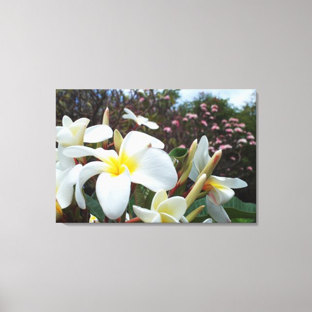 Plumeria Canvas Imprimir 1 (Frente)