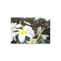 Plumeria Canvas Imprimir 1