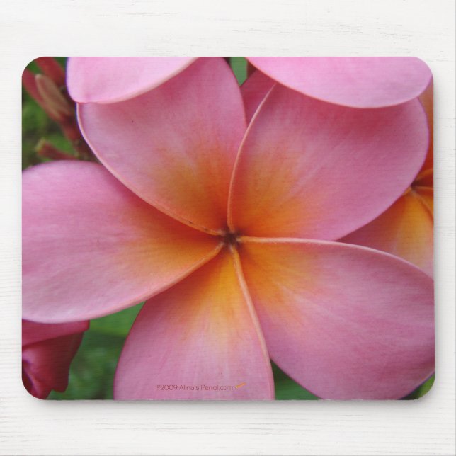 Plumeria cor-de-rosa Mousepad (Frente)