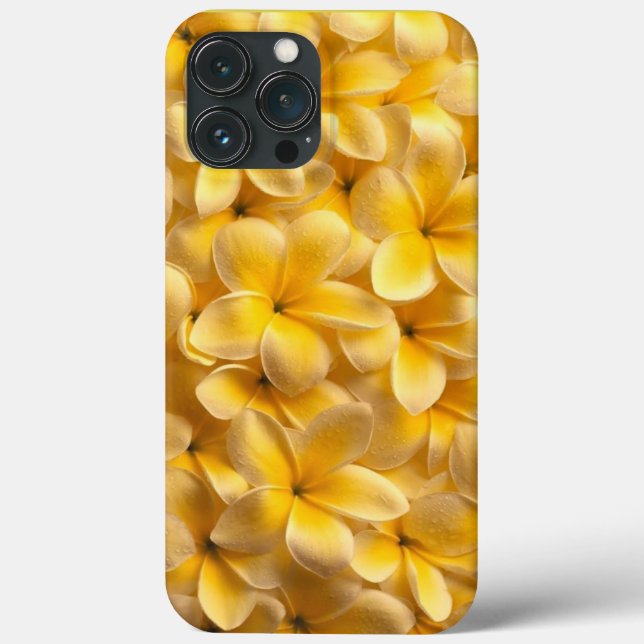 Plumeria Fllower Yellow (Verso)