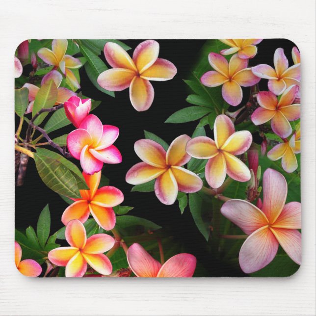 Plumeria Mouse Pad (Frente)