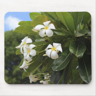 Plumeria Mousepad