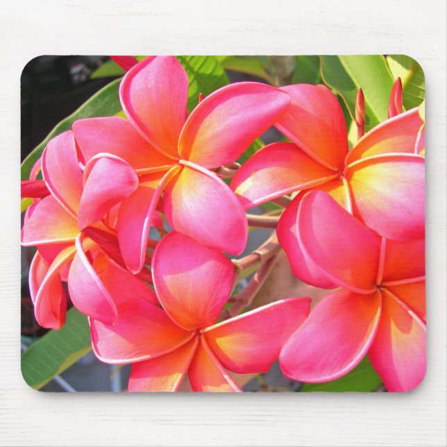 Plumeria Mousepad (Frente)