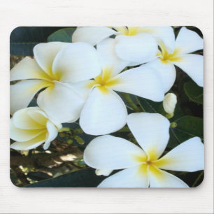 Plumeria Mousepad Havaiana