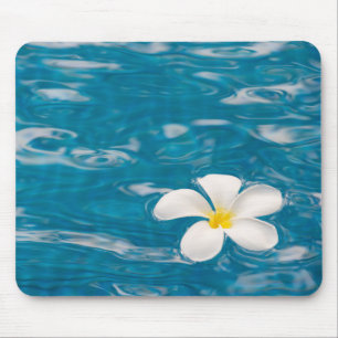 Plumeria Plumeria Flower Mouse Pad