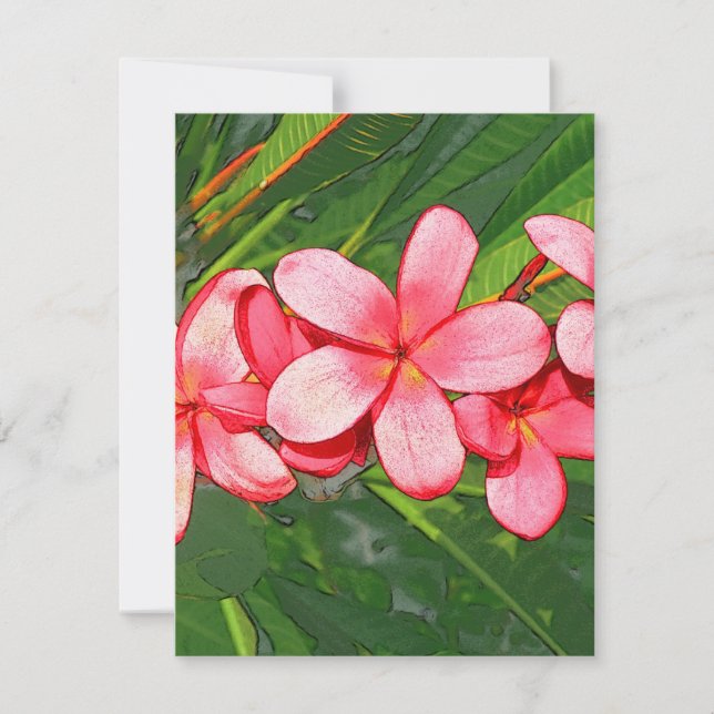 Plumérias (Frente)