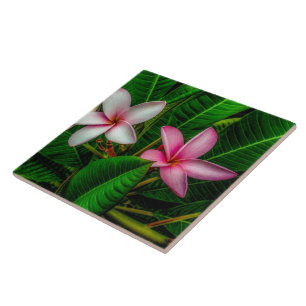 Plumerias em Azulejo de cerâmica branco e rosa