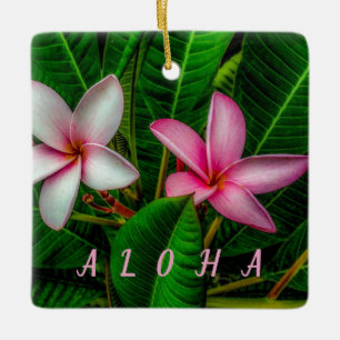 Plumérias em Ornamento Branco e Rosa