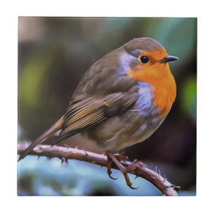 Plump Robin Perch Em Uma Arte De Vida Selvagem De 
