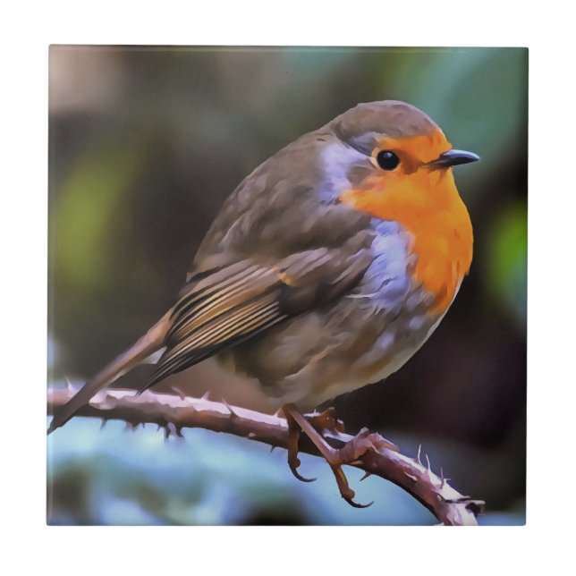 Plump Robin Perch Em Uma Arte De Vida Selvagem De  (Frente)