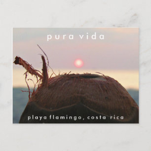 Plya Flamingo Sunset Coconut Costa Rica Cartão pos
