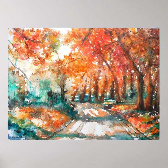 PMACarlson Country Road, Bucks County, Pa Poster (Frente)