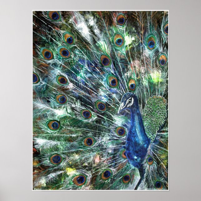 PMACarlson Jeweled Poster (Frente)