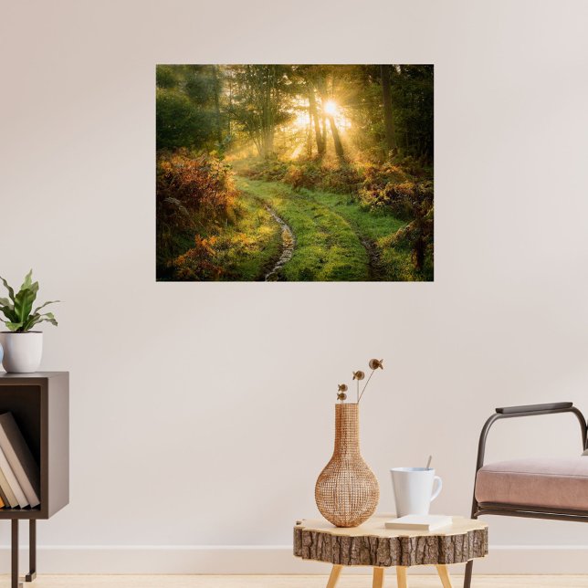 Pneus no Mural Poster do Mural do Woods (Tracks in Forest)