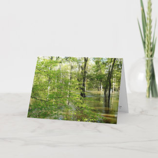 Pode você viver no excesso - uns cartões de