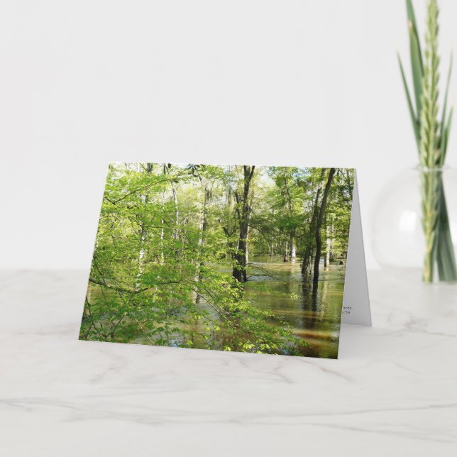 Pode você viver no excesso - uns cartões de (Frente)