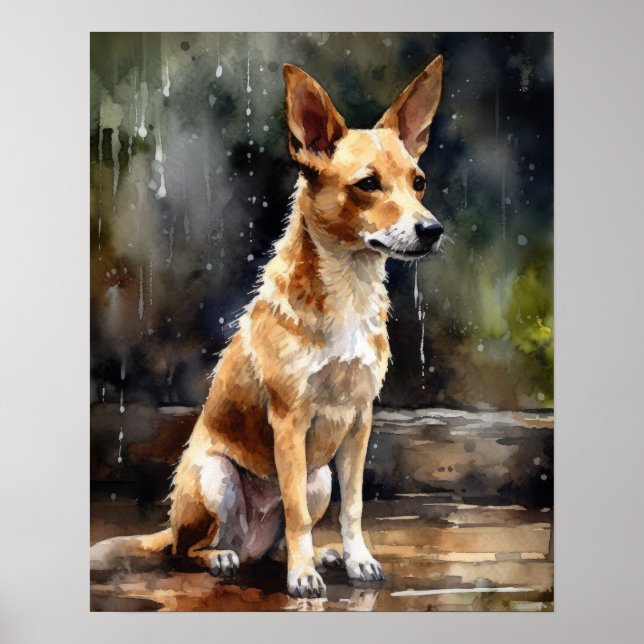 Podengo Português Impressão (Frente)