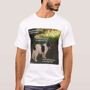 Poema De Camisa Qualquer Sonho De Cachorro Por Lad