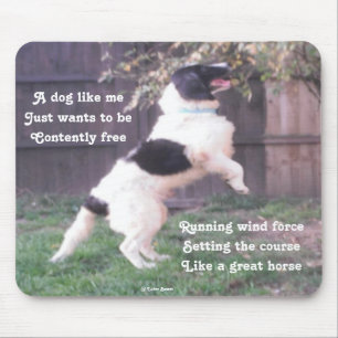 Poema De Cavalo De Cão Mousepad Por Ladee Basset