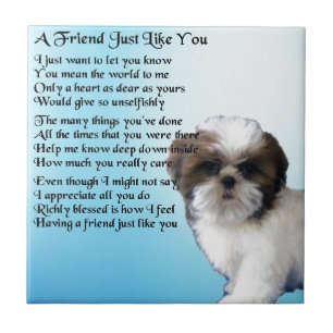 Poema do amigo - design de Shih Tzu