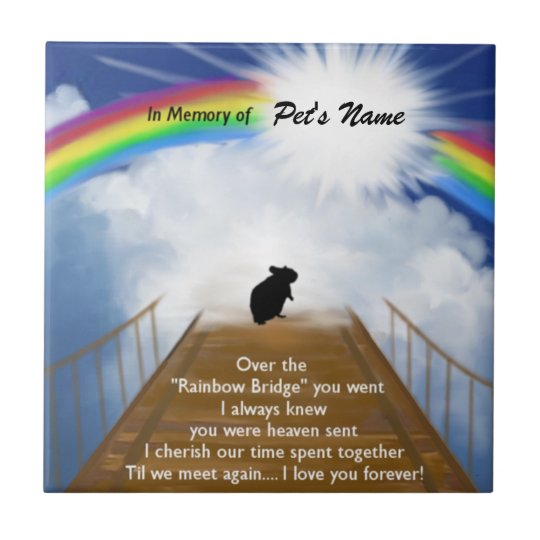 Poema Memoravel Da Ponte Do Arco Iris Para Hamster Zazzle Com Br