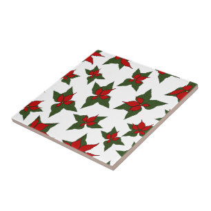 poinsétia vermelha padrão floral de Natal