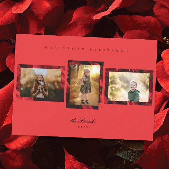 Poinsettia Petals Frame 3 Cartão de Natal Fotográf (Criador carregado)