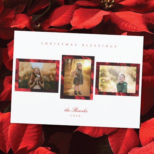 Poinsettia Petals Frame 3 Cartão de Natal Fotográf (Criador carregado)