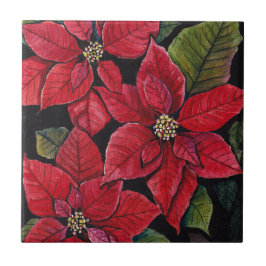 Poinsettia Vibrante Em Aquarela