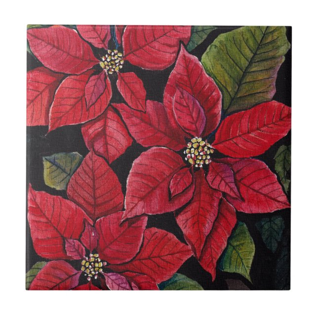 Poinsettia Vibrante Em Aquarela (Frente)