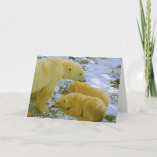 Polar Bear mãe e seus filhotes cartões de vazio