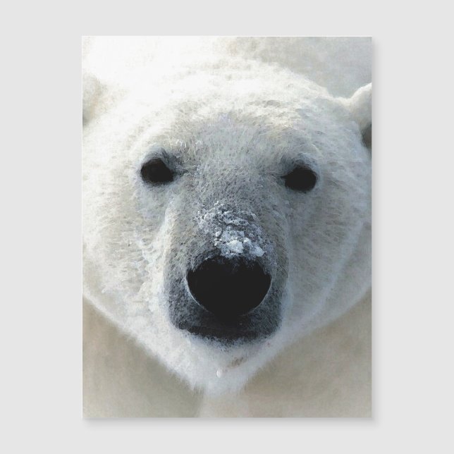 Polar Bear Magnetic Card (Frente)
