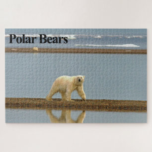 Polar Bear Stroll Quebra-cabeça