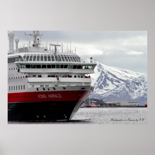 Polar Cruisship Poster (Frente)