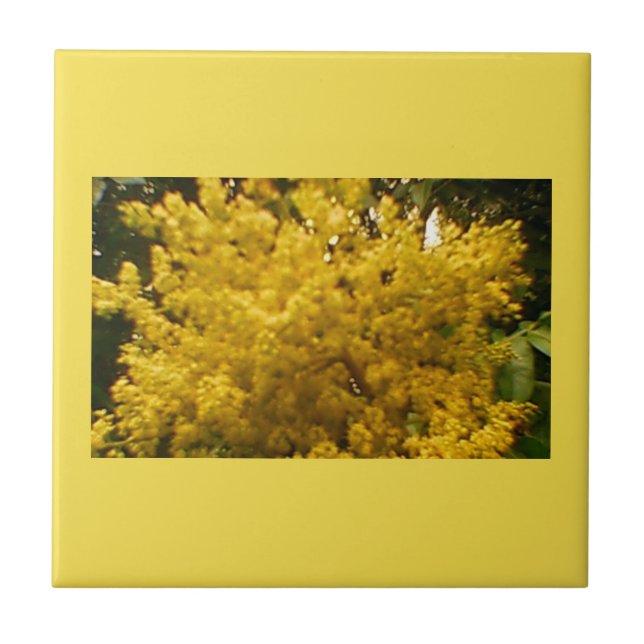 Pólen Blooming (Frente)