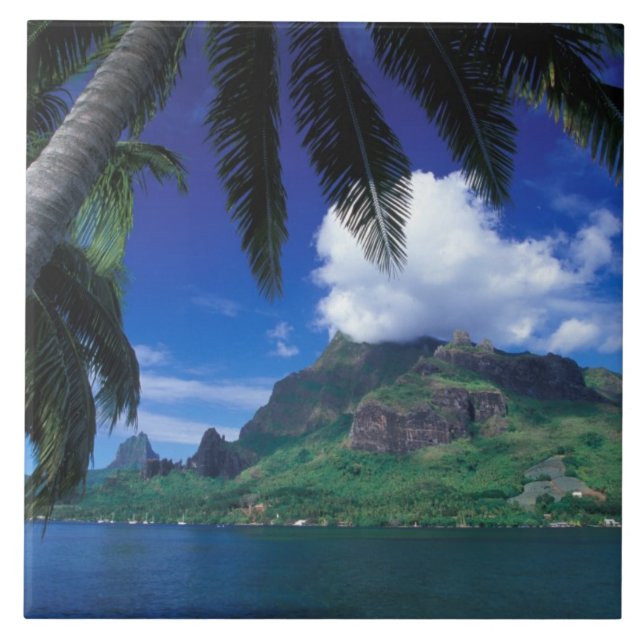 Polinésia Francesa, Moorea. Baía de Cooks. Verde (Frente)