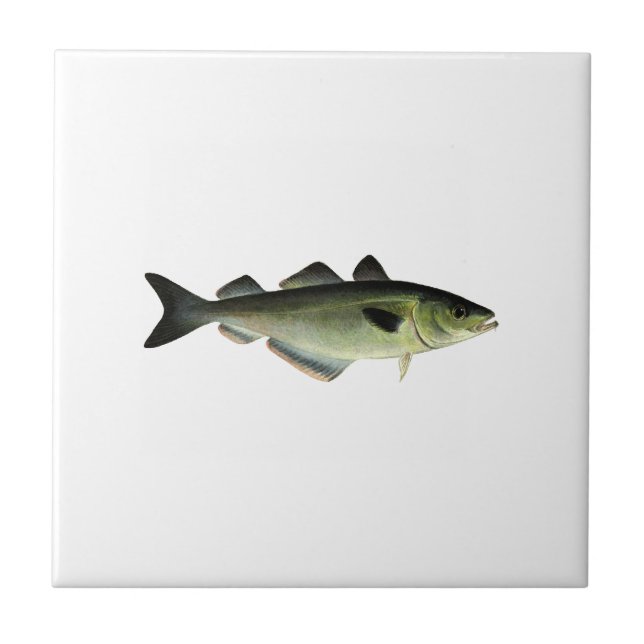 Pollock atlântico (Frente)