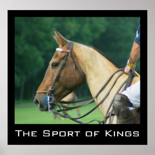 Polo Pony e Rider Poster
