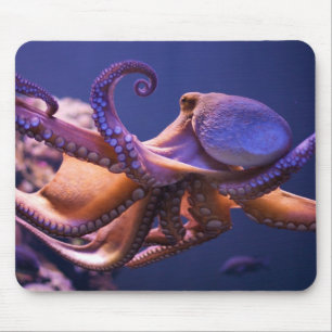 Polvo Mousepad