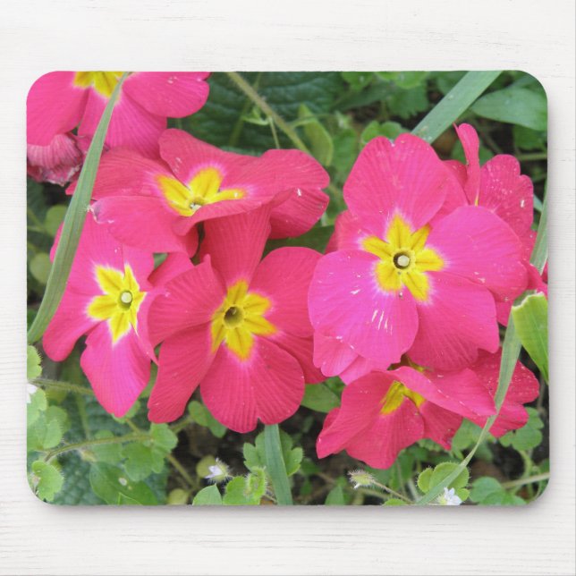 Polyanthus Mousepad (Frente)