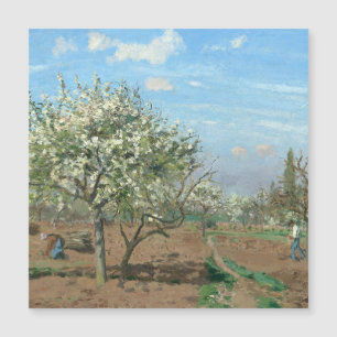 Pomar em Bloom, Louveciennes Camille Pissarro