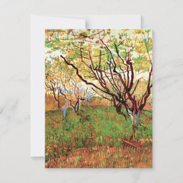 Pomar em Blossom por Vincent van Gogh (Frente)