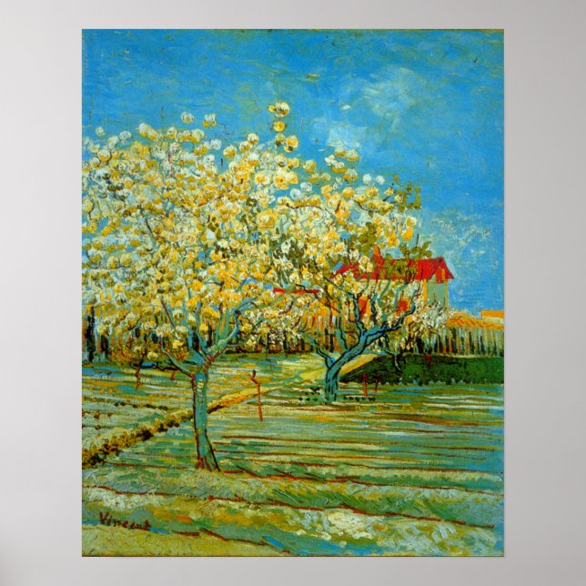 Pomar em Blossom por Vincent van Gogh Poster (Frente)