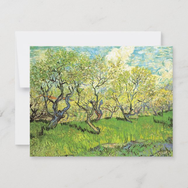 Pomar em Flor por Vincent van Gogh (Frente)