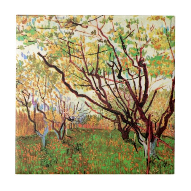 Pomar em Flor por Vincent van Gogh (Frente)