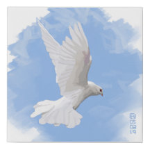 Pomba Branca Em Pintor Azul