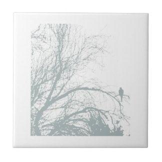 POMBA SOLITÁRIA, AQUA